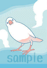文鳥クリアファイル