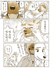 Sample No.6