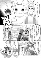 Sample No.5