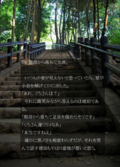 サンプル画像 No.4