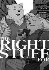 THE RIGHT STUFF FOR