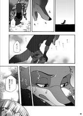 サンプル画像 No.5