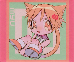 Sample No.5