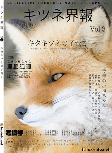 「キタキツネ写真集」キツネ界報 Vol.3 キタキツネの子育て【ポストカードセット】