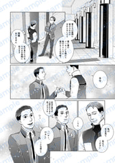 Sample No.3