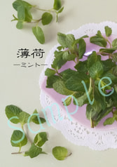 薄荷　―ミント―