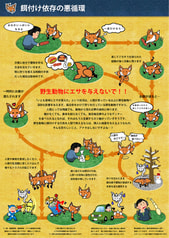 サンプル画像 No.4