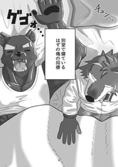 Sample No.6