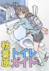 秋葉原トイレガイド