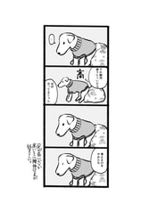 サンプル画像 No.4