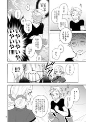 Sample No.5