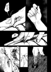 サンプル画像 No.5