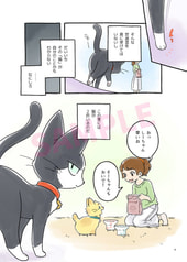 サンプル画像 No.2