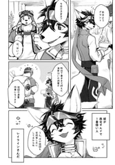 Sample No.5