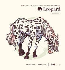 サンプル画像 No.4