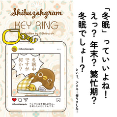 「冬眠中ですが何か？」アクリルキーホルダー