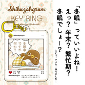 「冬眠中ですが何か？」アクリルキーホルダー