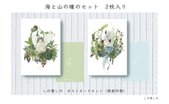 ポスカセット【海と山の瞳のセット】