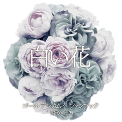 白い花