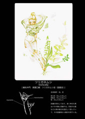 サンプル画像 No.2