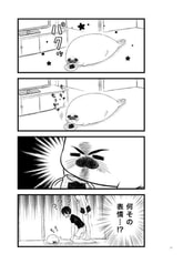 サンプル画像 No.3