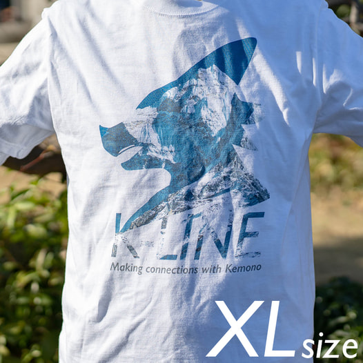 K-LINE T-shirt 2019 (XL size)