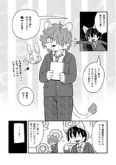 Sample No.1