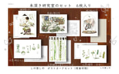 ポスカセット【未深き研究室のセット】