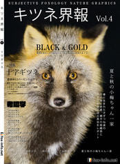 「キタキツネ写真集」キツネ界報 Vol.4 十字ギツネ