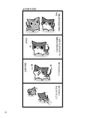 サンプル画像 No.2