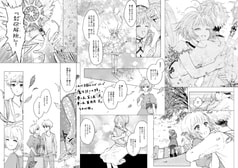 サンプル画像 No.6