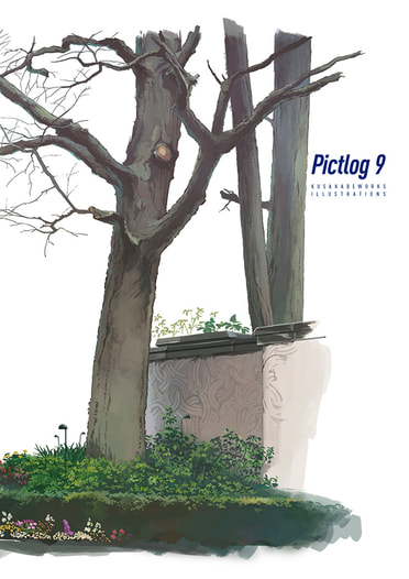 Pictlog 9