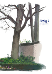 Pictlog 9