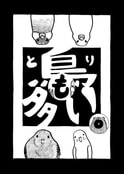鳥も多い。