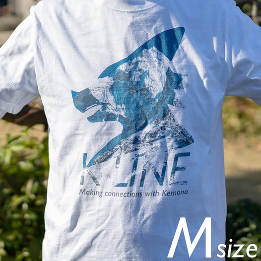 K-LINE T-shirt 2019 (M size)