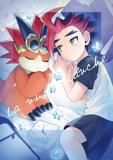 La nuit blanche
