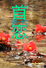 首の皮一枚で恋