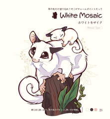 サンプル画像 No.4