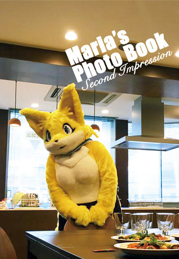 Maria's Photo Book Second Impression