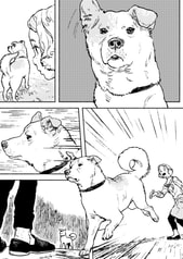 サンプル画像 No.6