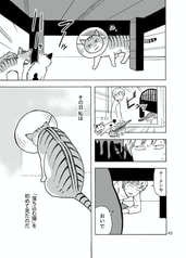サンプル画像 No.2