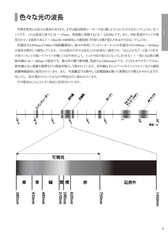 Sample No.2