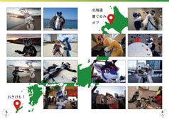 サンプル画像 No.2