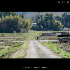 サンプル画像 No.5