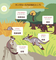 サンプル画像 No.6