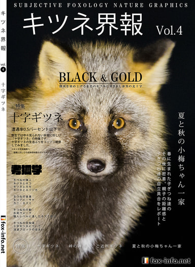 「キタキツネ写真集」キツネ界報 Vol.4 十字ギツネ【ポストカードセット】