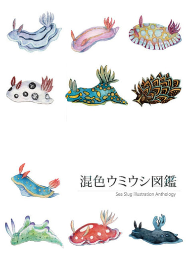 混色ウミウシ図鑑