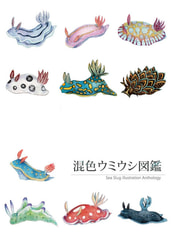混色ウミウシ図鑑