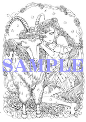 サンプル画像 No.2