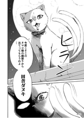 サンプル画像 No.5